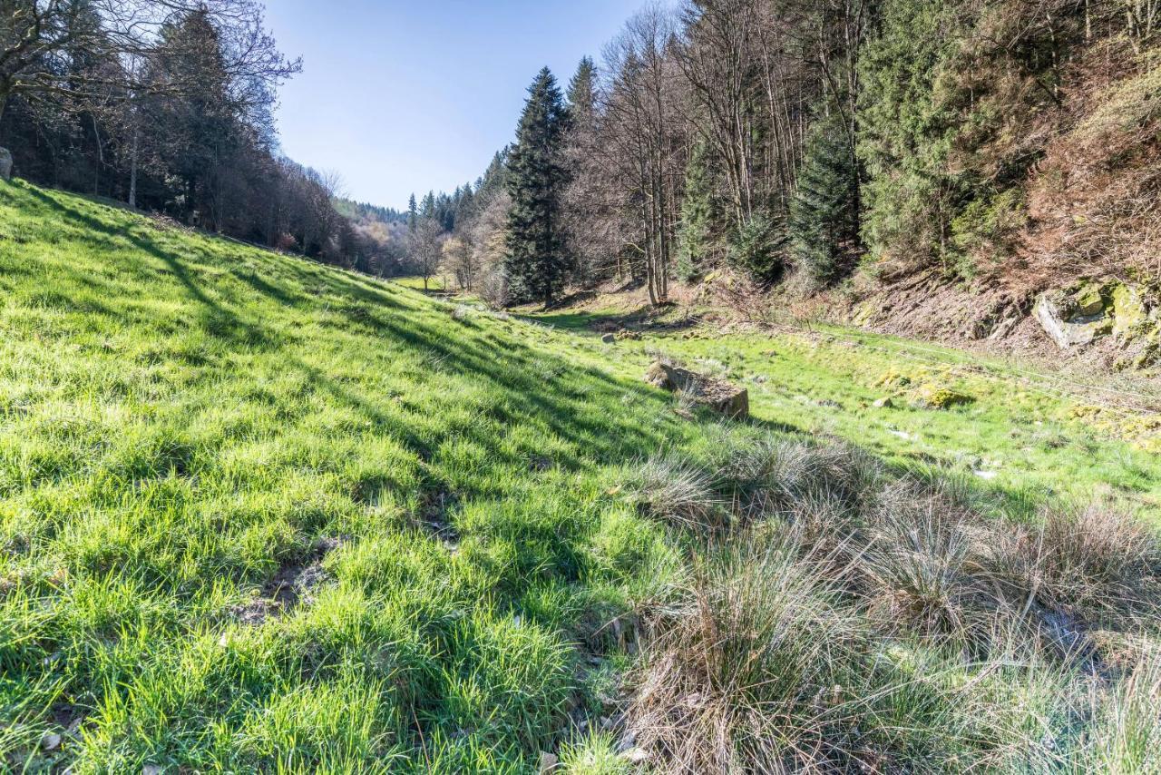 Ferienwohnung Gernsbach Luaran gambar