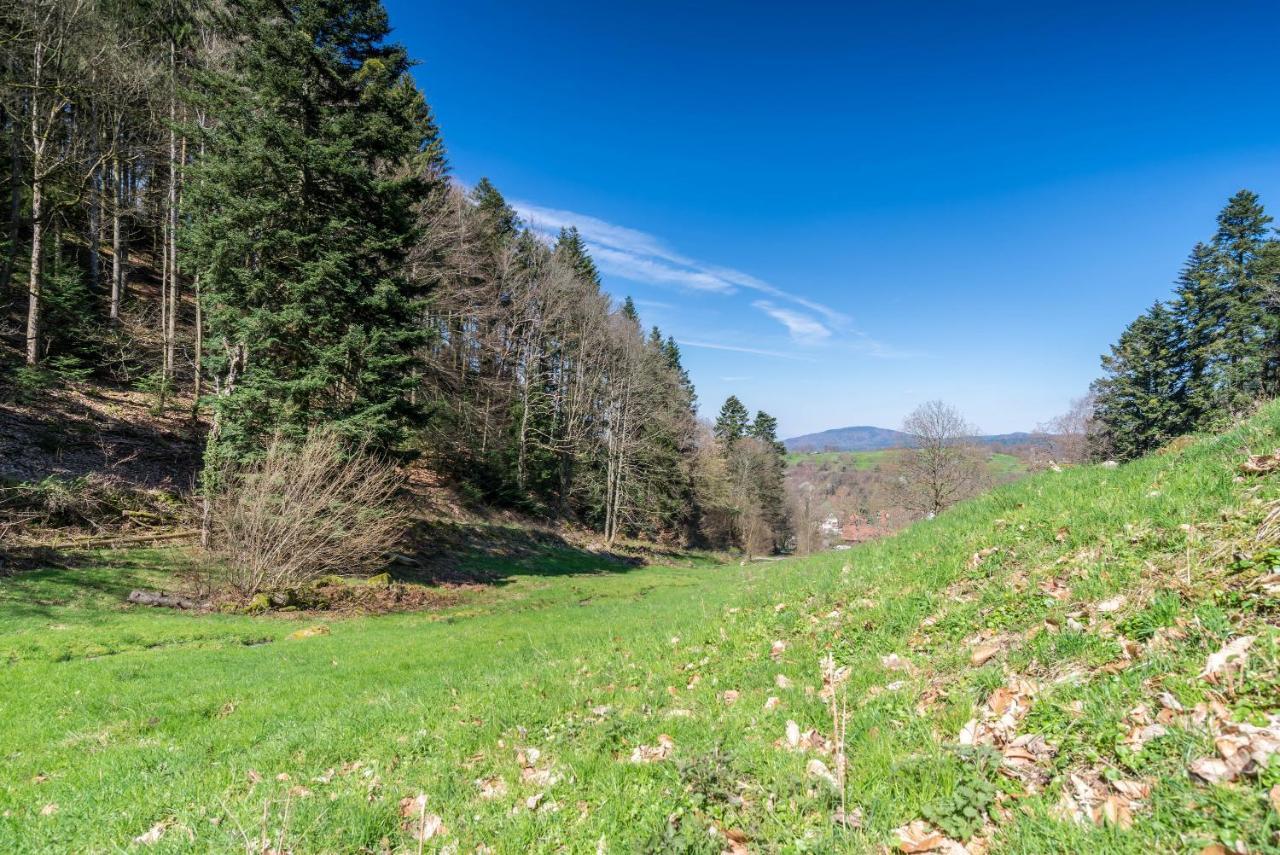 Ferienwohnung Gernsbach Luaran gambar